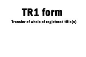Tr1 Form